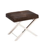 Cowhide Leather Stool (Brown + Silver)