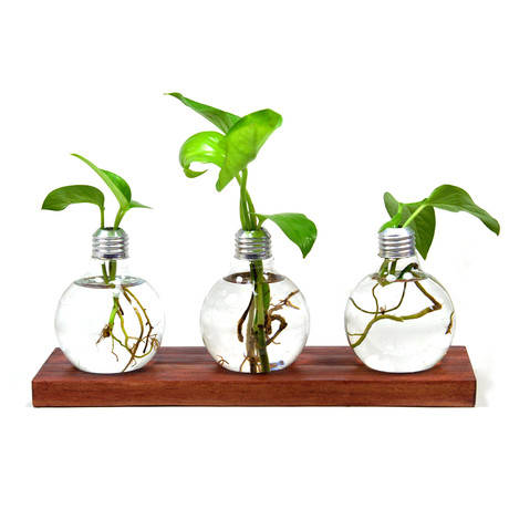 Triple Repurposed Light Bulb // Vase with Wood Base