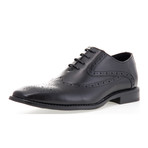 Windsor Wingtip // Black (US: 10)