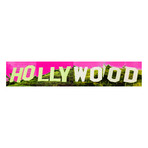 Hollywoodland (48"W x 10"H x 1.5"D)