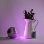 LampLust // Platinum Uovo Color Changing Mood Light