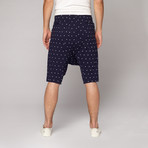 Barbados Sweatshorts // Blue + White Polka Dots (XL)