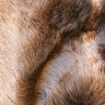 Buffalo Hide Rug