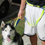 3-In-1 Hands-Free Leash With Built-In Short Lead // Black & Neon Green (Small/Medium Dogs)