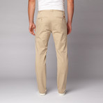 Bob Chino // Cornstalk (28WX32L)