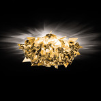 Veli Ceiling-Wall Lamp // Gold (Standard)
