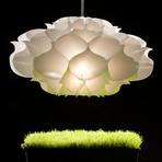 Phrena // Hanging Light I