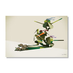 Walking Shadow // Turtles (24"W x 16"H x .045"D // Aluminum Print)