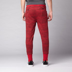 The New Standard Edition // Carter Slim Knit Jogger // Red Brush Print (28WX32L)