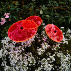 Bouquet of Sunflowers // Set of 3 // Red