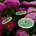 Bouquet of Sunflowers // Set of 3 // Green