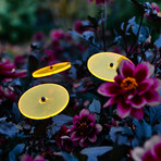 Bouquet of Sunflowers // Set of 3 // Yellow