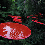 Cazador-Del-Sol ® // Set of 3 // Red