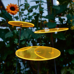 Cazador-Del-Sol ® // Set of 3 // Yellow