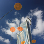 Cazador-Del-Sol ® // Set of 3 // Yellow