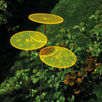 Cazador-Del-Sol ® // Set of 3 // Yellow