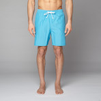 Swim Shorts // Blue (M)