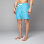 Swim Shorts // Blue (M)