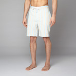 Board Shorts // Khaki + Light Blue Striped (M)