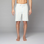 Board Shorts // Khaki + Light Blue Striped (M)