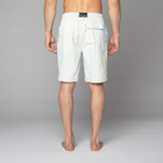 Board Shorts // Khaki + Light Blue Striped (M)