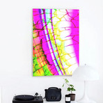 Summer Breeze (24"W x 30"H x 1.5"D)