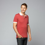 Feeder Stripe Polo // Eco True Burdungy (M)