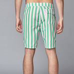 Board Short // Pink + Green Cabana Stripe (30)