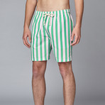 Swim Trunk // Pink + Green Cabana Stripe (L)