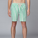 Swim Trunk // Pink + Green Cabana Stripe (L)
