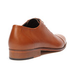 Albus Leather Cap Toe // Cognac (Euro: 40)