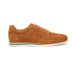 Signatus Suede Sneaker // Cognac (Euro: 41)