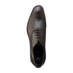 Versace 1969 Abbigliamento Sportivo // Gilles Plain Toe Oxford // Brown (Euro: 41)