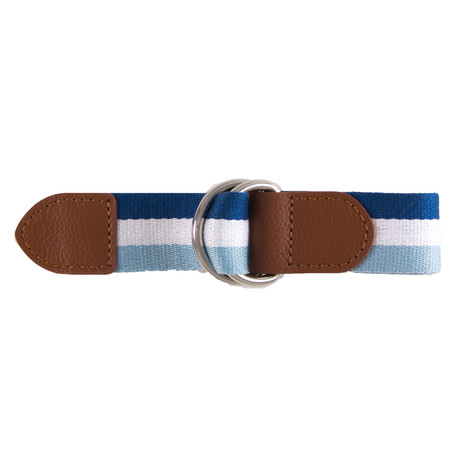 Douglas Ribbon Belt // Blue + White (32)