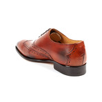 Wingtip Oxford  // Cognac (US: 7)