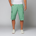 Havasu Short // Seafoam (30)