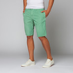 Denver Short // Seafoam (34)