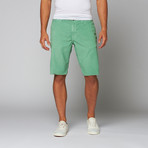 Denver Short // Seafoam (34)