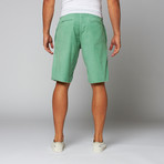 Denver Short // Seafoam (34)