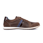 Steven Stripe Sneaker // Dark Brown (Euro: 42)