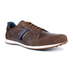 Steven Stripe Sneaker // Dark Brown (Euro: 42)