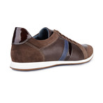 Steven Stripe Sneaker // Dark Brown (Euro: 43)