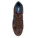 Steven Stripe Sneaker // Dark Brown (Euro: 44)