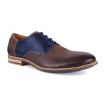 Look Two Tone Derby // Brown + Navy (Euro: 44)