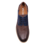 Look Two Tone Derby // Brown + Navy (Euro: 41)