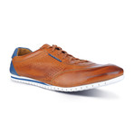 Alan Two Tone Sneaker // Cognac + Blue (Euro: 40)