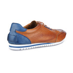 Alan Two Tone Sneaker // Cognac + Blue (Euro: 41)