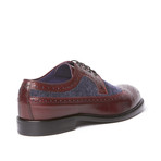 Kensington Oxford // Burgundy (US: 9)