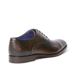 Odeon Oxford // Brown + Black (US: 8)