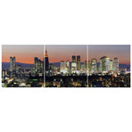 City Skyline, Shinjuku District, Tokyo, Japan Triptych